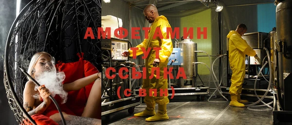 прущие грибы Нефтекумск