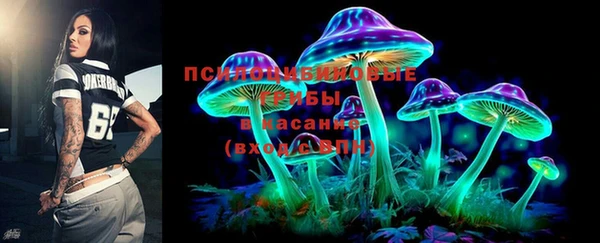 твердый Надым